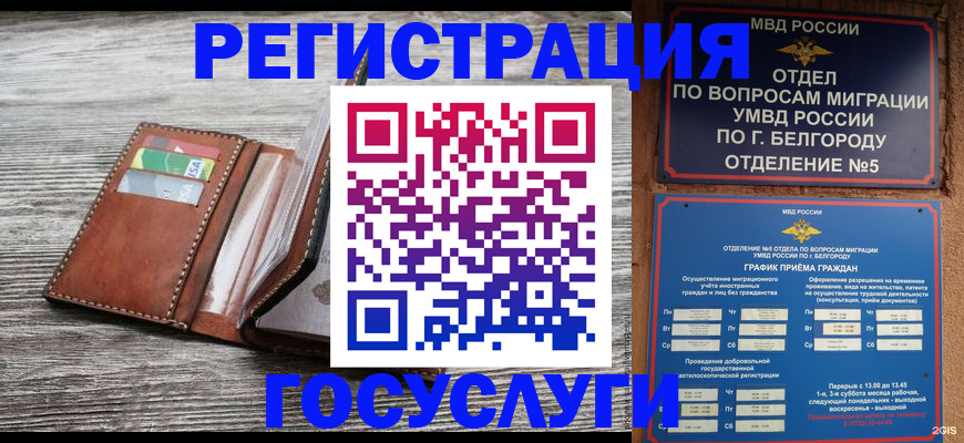 временная регистрация гарантия в Королёве